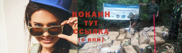 спайс Аркадак