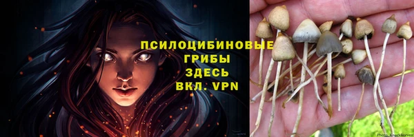 гидра Алзамай
