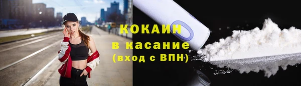 ПСИЛОЦИБИНОВЫЕ ГРИБЫ Арсеньев