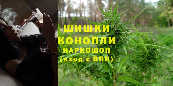 спайс Аркадак
