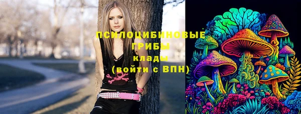 MDMA Premium VHQ Нязепетровск